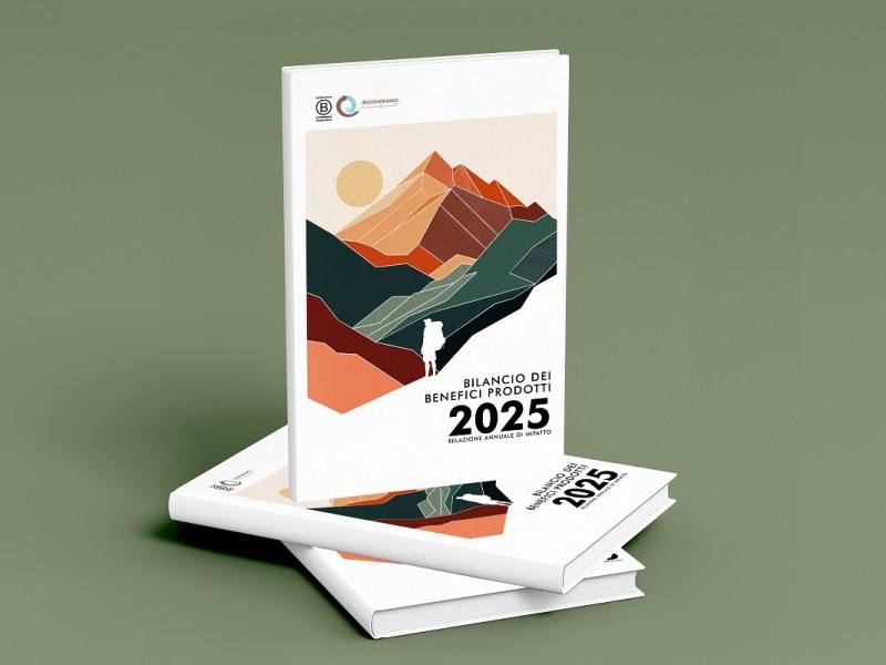 Pubblicata la Relazione annuale d’Impatto 2025 di&nbsp;(RI)GENERIAMO